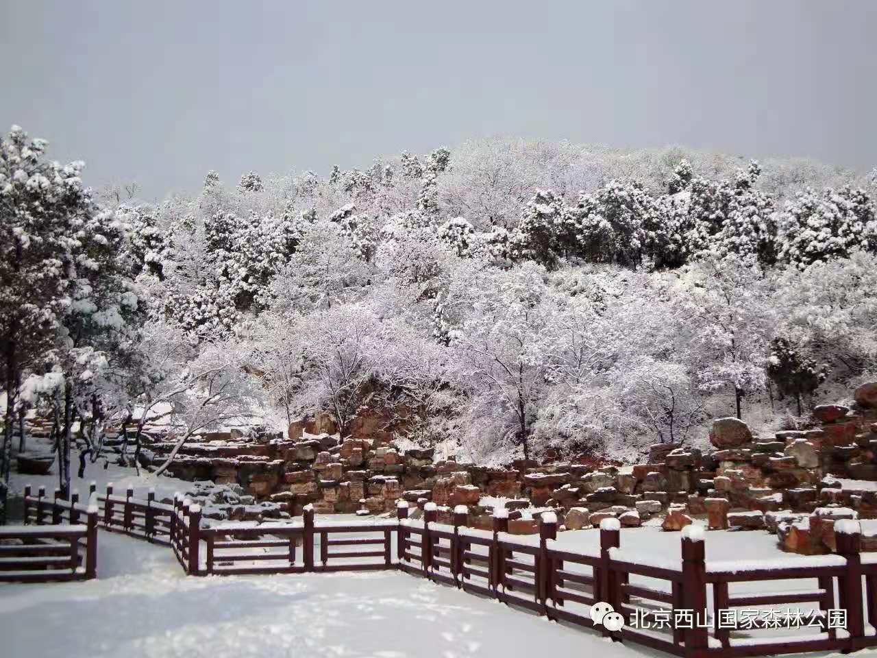 西山冬景1.jpg